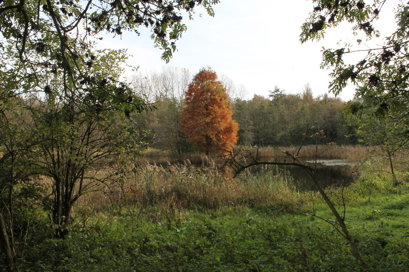 Hartelpark