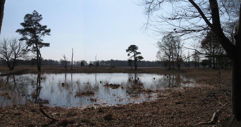 Heide