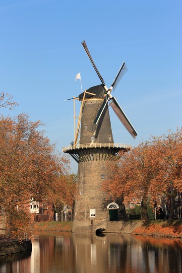 De Walvisch
