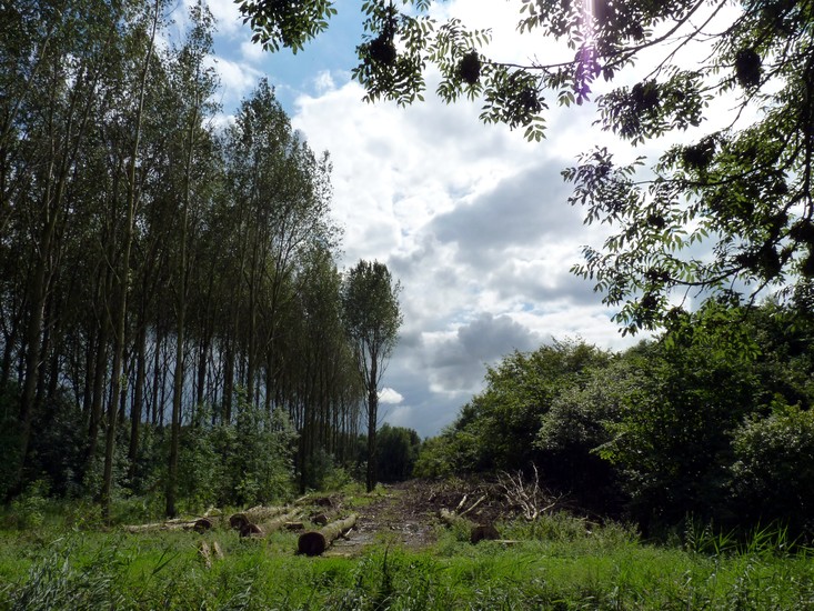 Hartelpark