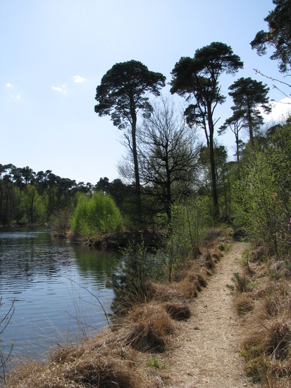 Oisterwijkse Vennen