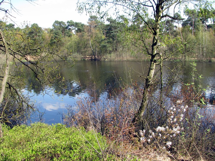 Oisterwijkse Vennen