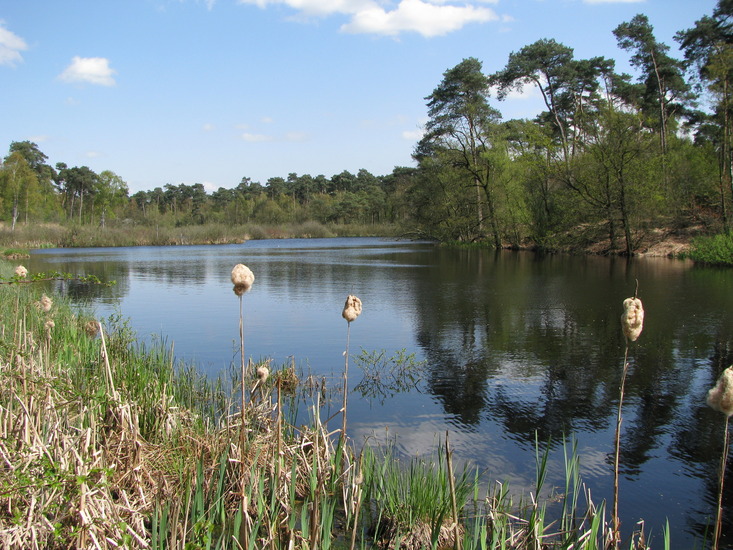 Oisterwijkse Vennen