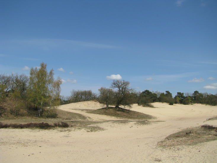 Loonse en Drunense Duinen