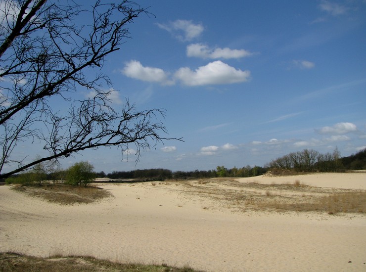 Loonse en Drunense Duinen