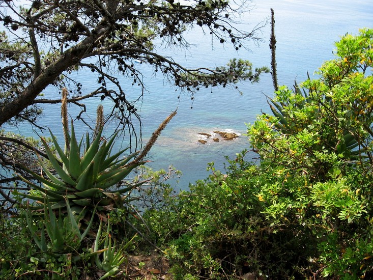 Costa Brava