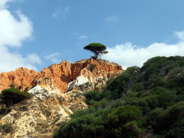 Algarve