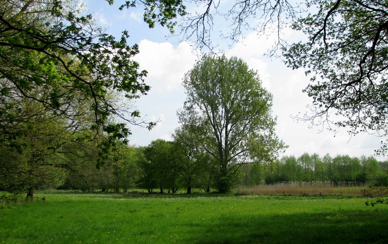 Noord-Brabant