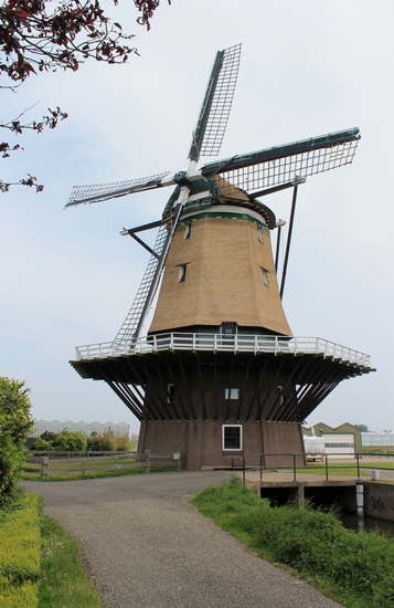 De Nieuwlandse molen