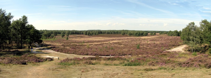 Heidevelden