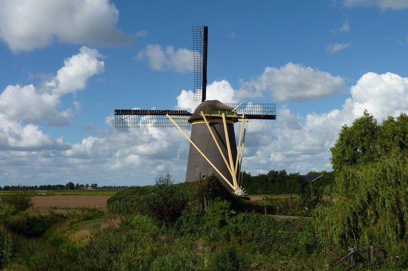 Antonymolen