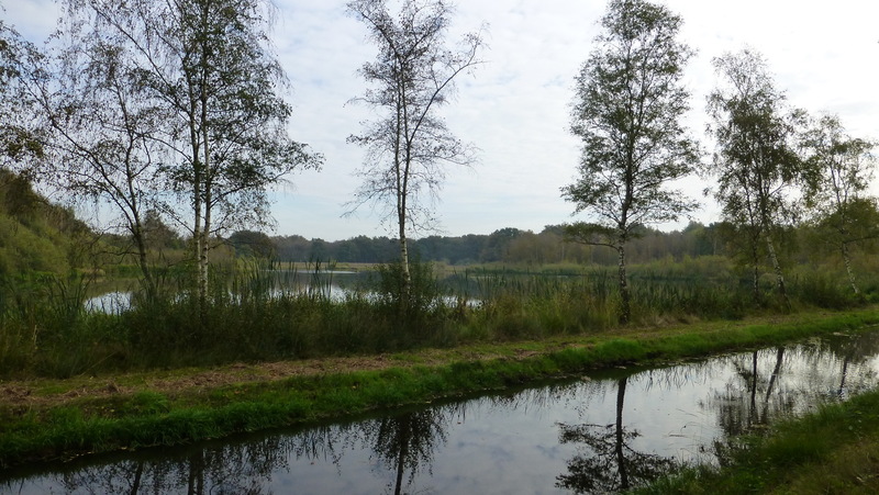 Engbertdijkse vennen