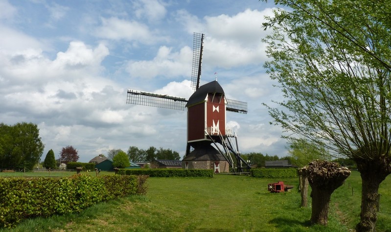 Zeldenrust in Geffen