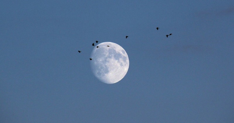 moon