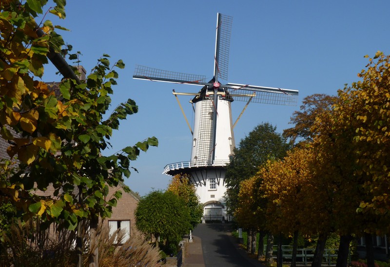 DÓrangemolen