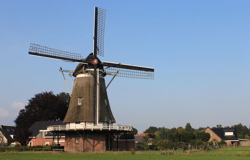 De Maagd