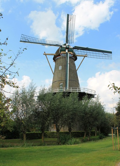 De Arend