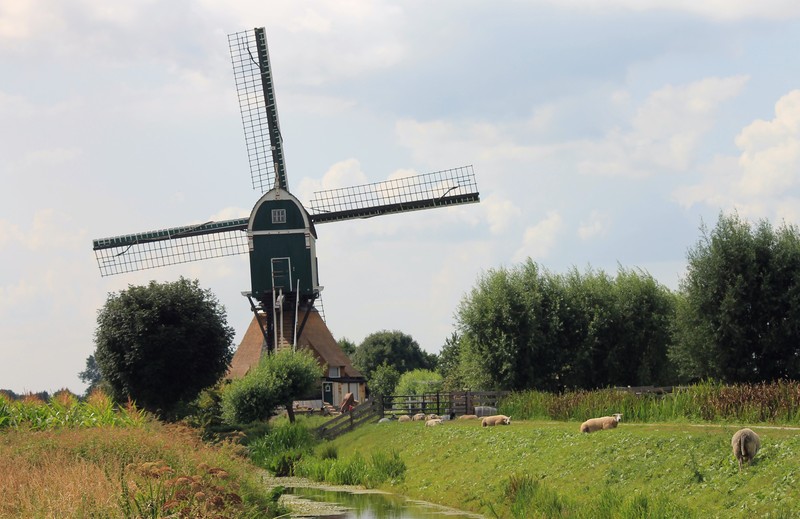 Bachtenaer