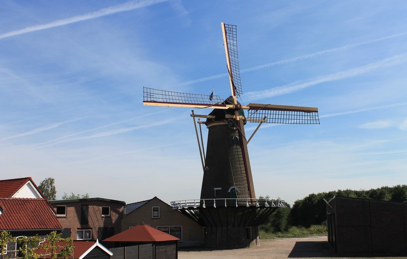 Windlust