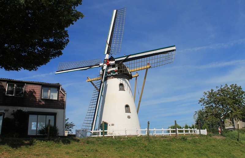 De Dankbaarheid