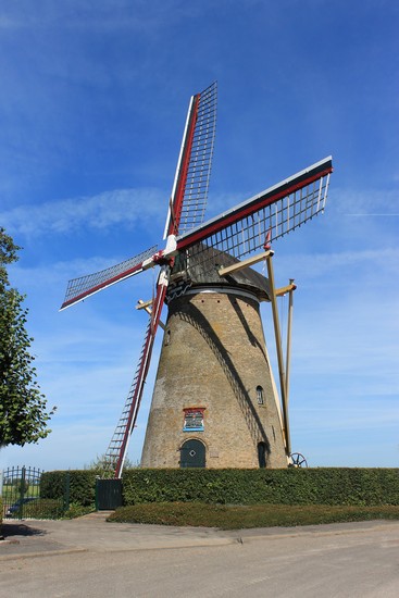 d´oranjeboom