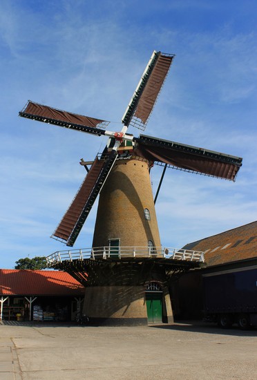 De Hoop
