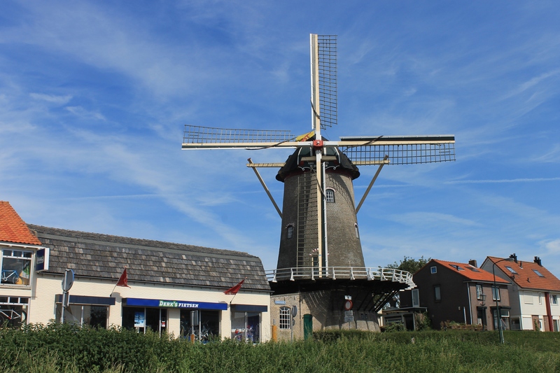 De Korenbloem