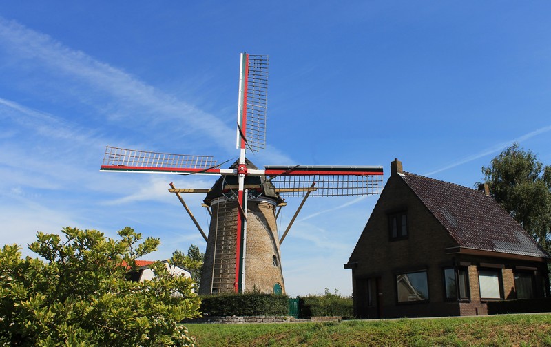 De Korenaer