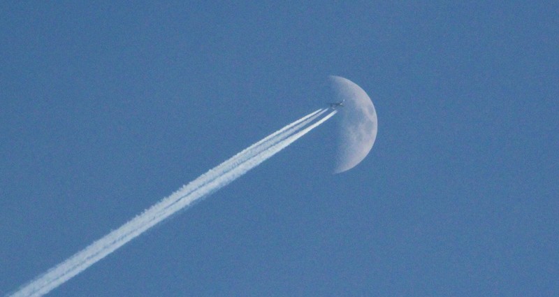 mooncrosser