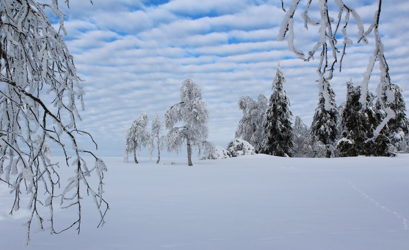 Winterberg