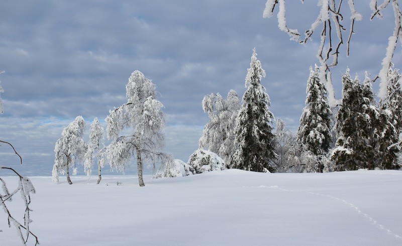 Winterberg