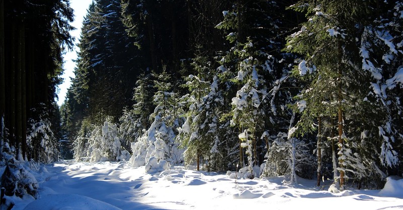 Winterberg