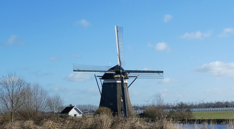 Zelden van Passe te Zoeterwoude-Dorp