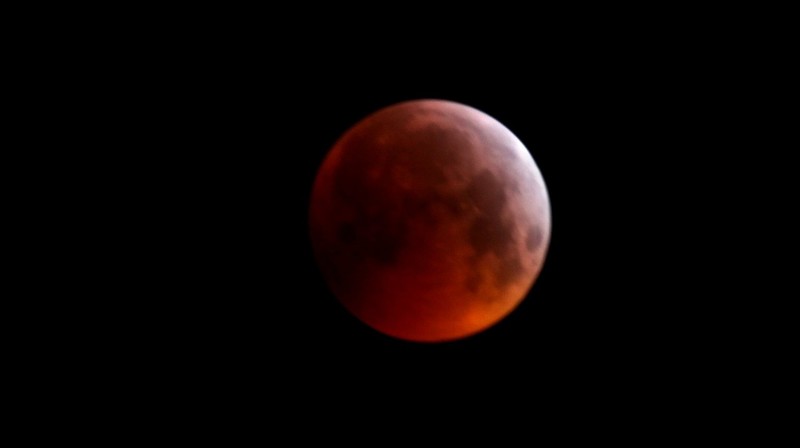 Bloedmaan 2019