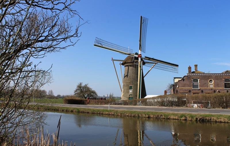 De Drie Lelies