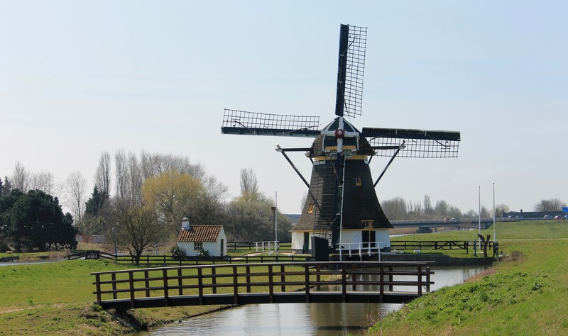 Schaapweimolen