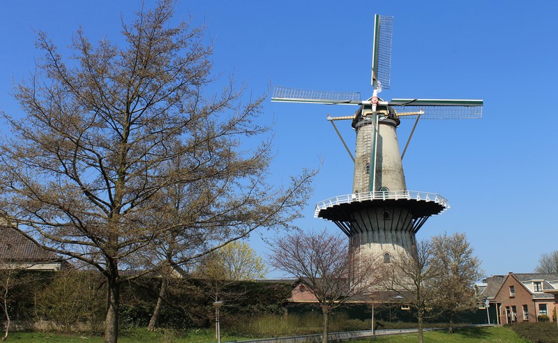 Windlust