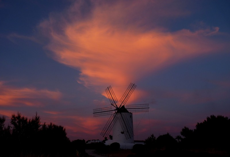 Molen Ibiza