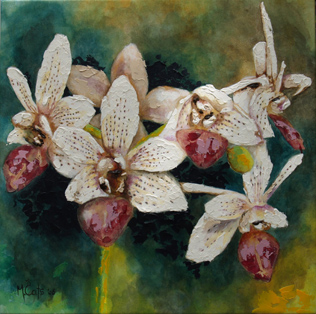 Orchidee