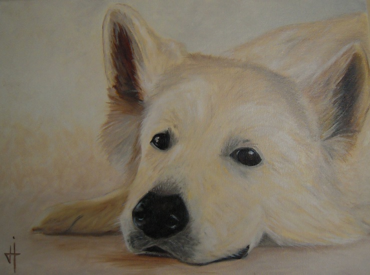 Dromerige witte herder