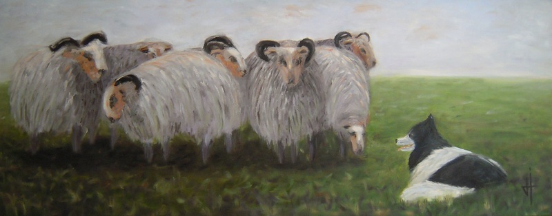 Wakend over de schapen