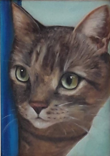 Poezenportret 3 van 5