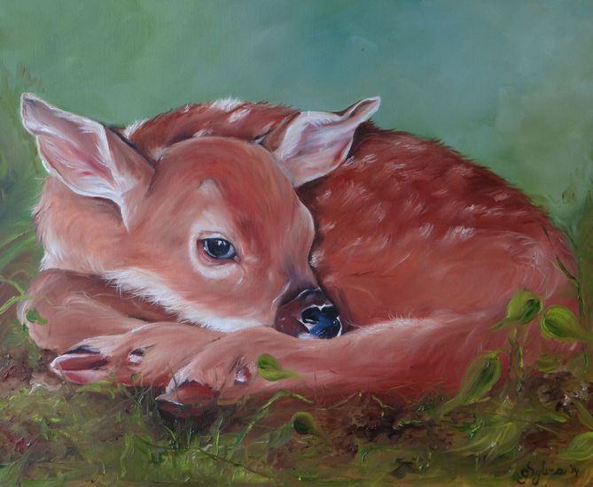 Little Deer