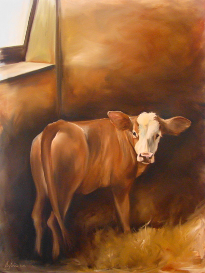 Calf in Barn