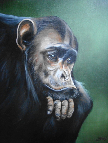 Chimpansee in Thought