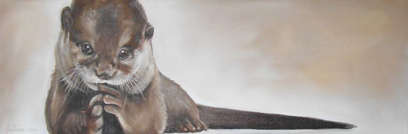 Baby Otter
