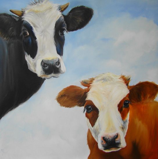 Dutch Cows