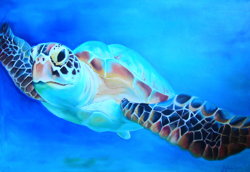 Colourful Turtle