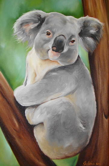 Koala