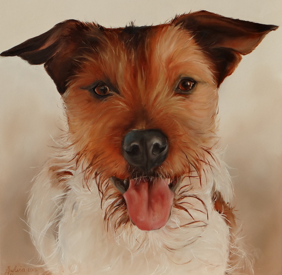 Jack Russel / Teckel Rex